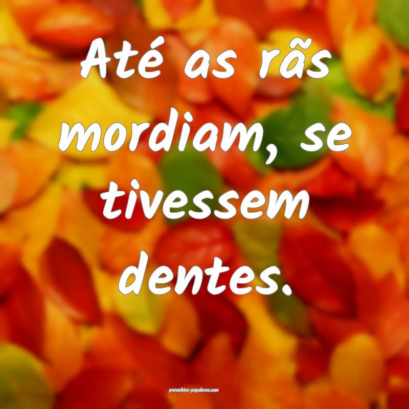 Até as rãs mordiam, se tivessem dentes.
...