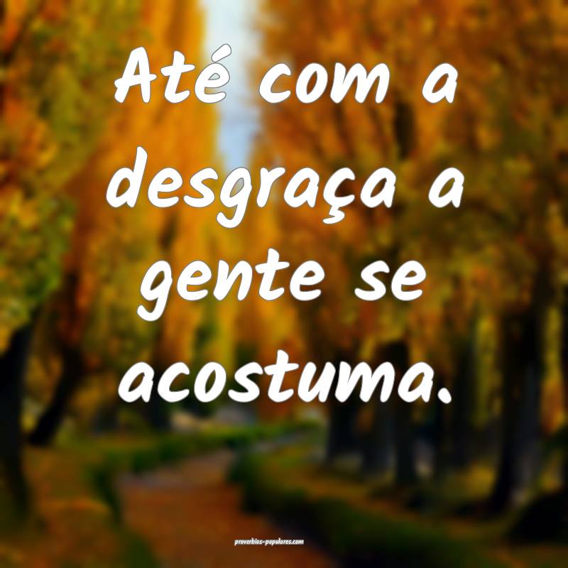 Até com a desgraça a gente se acostuma.
 ...