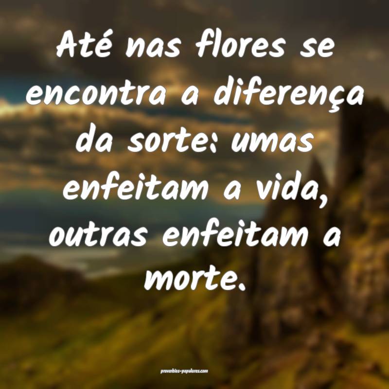 Até nas flores se encontra a diferença da sorte: umas enfeitam a vid...