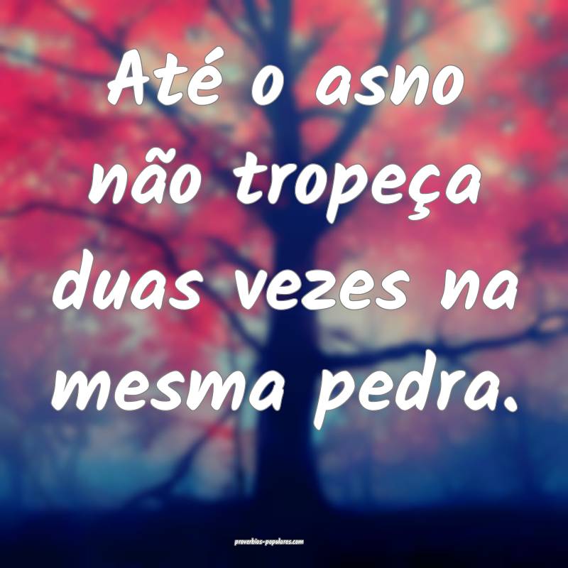 Até o asno não tropeça duas vezes na mesma pedra.
...
