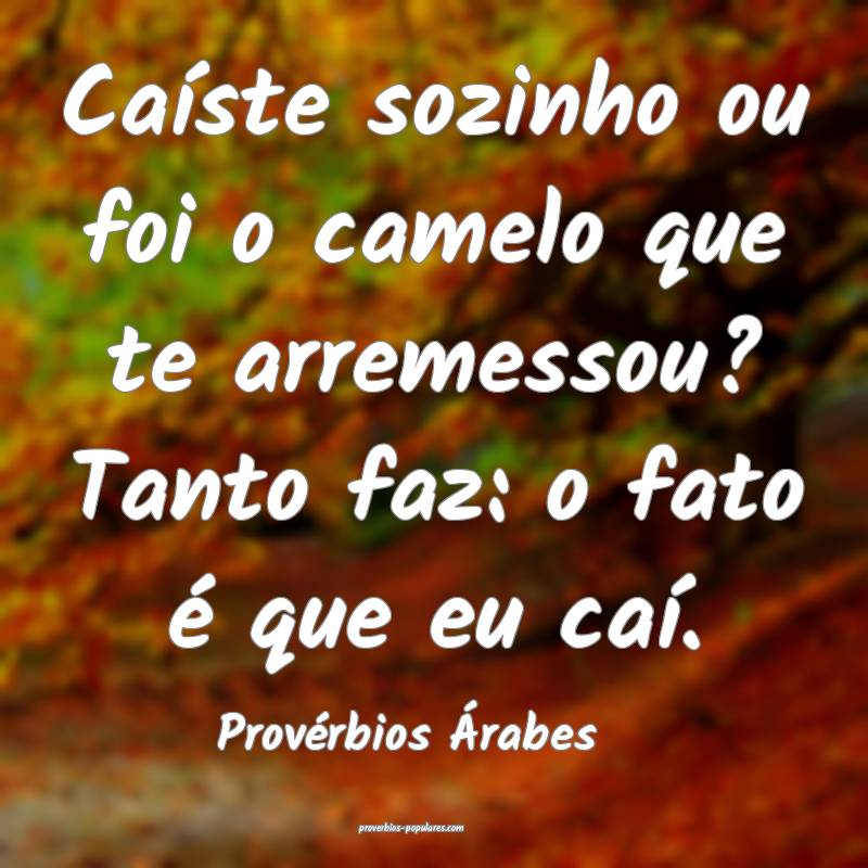Caíste sozinho ou foi o camelo que te arremessou? Tanto faz: o fato ...