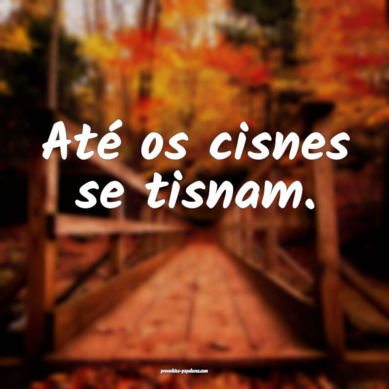 Até os cisnes se tisnam.
 ...