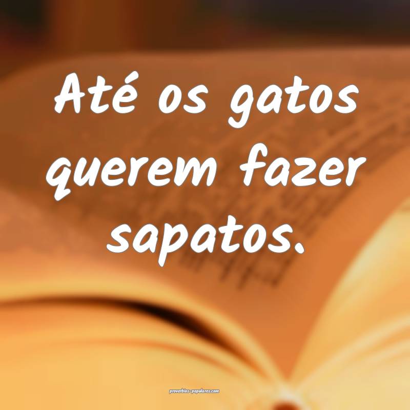 Até os gatos querem fazer sapatos.
...