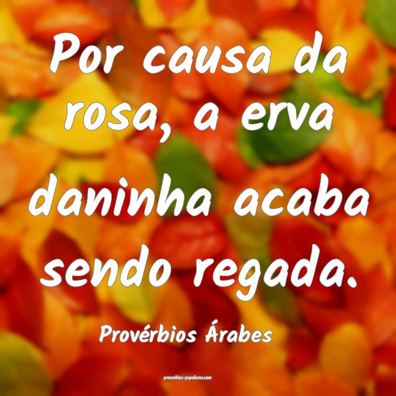 Por causa da rosa, a erva daninha acaba sendo regada.
...