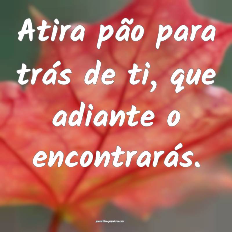 Atira pão para trás de ti, que adiante o encontrarás.
...