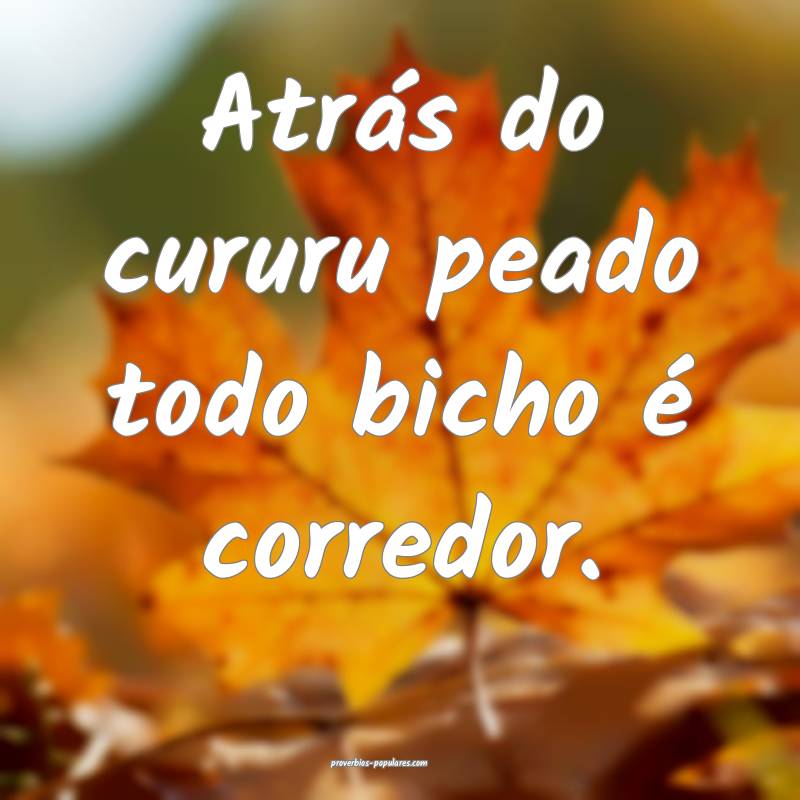 Atrás do cururu peado todo bicho é corredor.
...