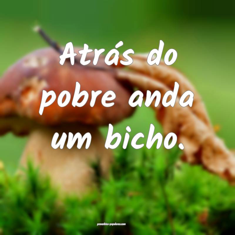Atrás do pobre anda um bicho.
...