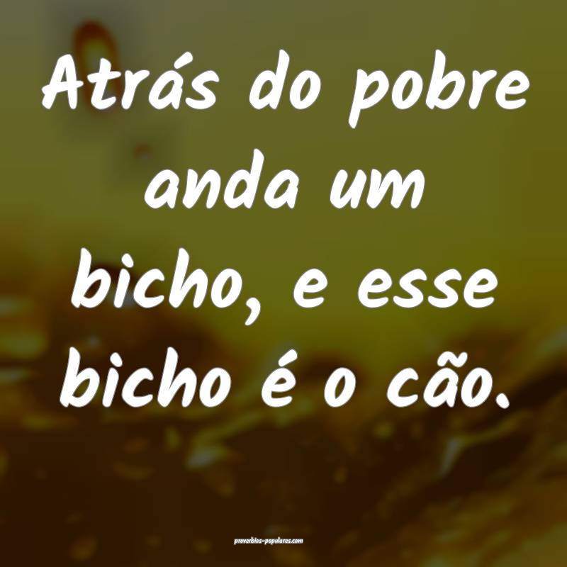 Atrás do pobre anda um bicho, e esse bicho é o cão.
...