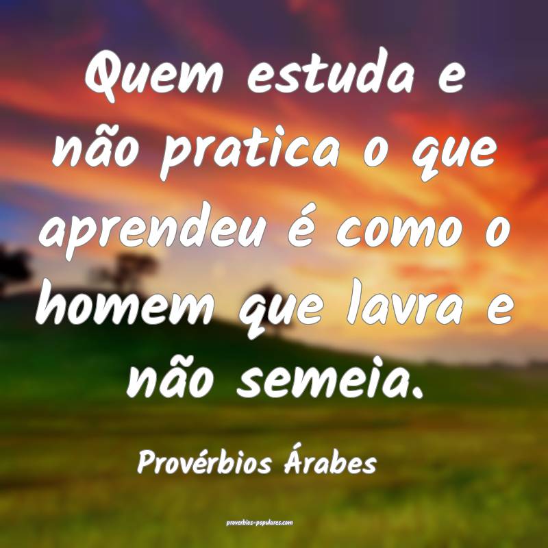 Quem estuda e não pratica o que aprendeu é como o homem que lavra e ...