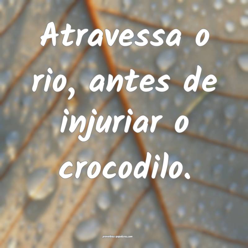 Atravessa o rio, antes de injuriar o crocodilo.
...