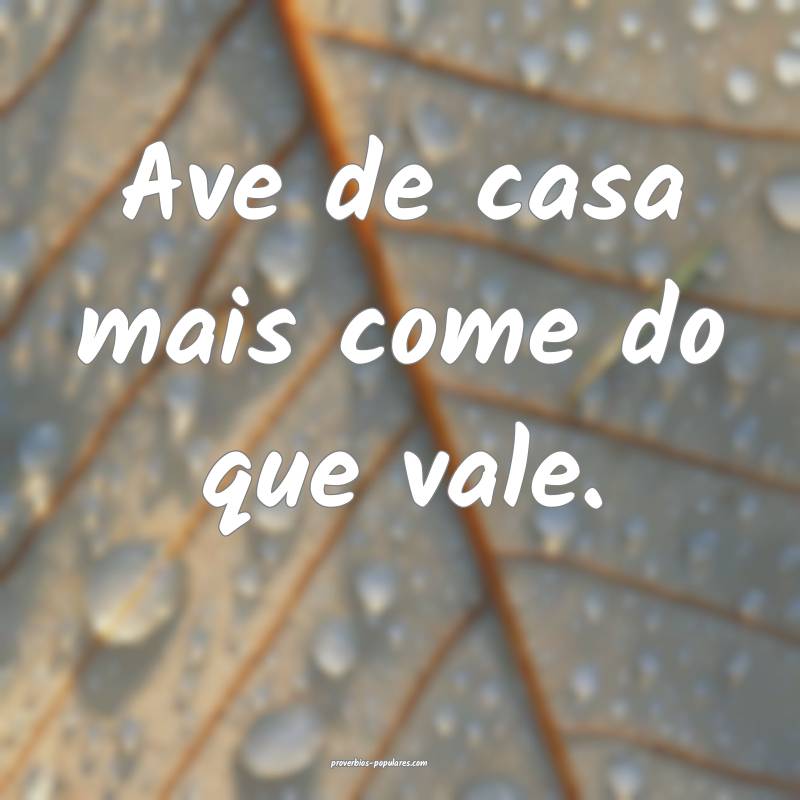 Ave de casa mais come do que vale.
 ...