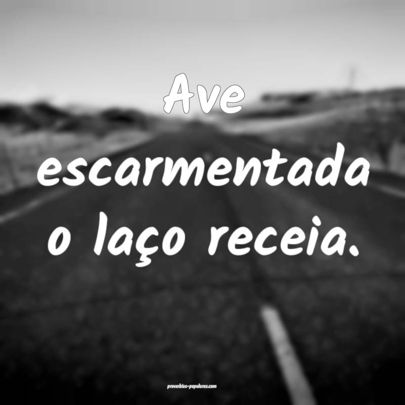 Ave escarmentada o laço receia.
...