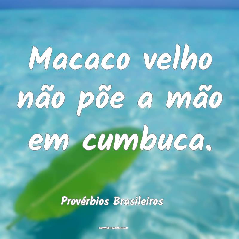 Macaco velho não põe a mão em cumbuca.
...