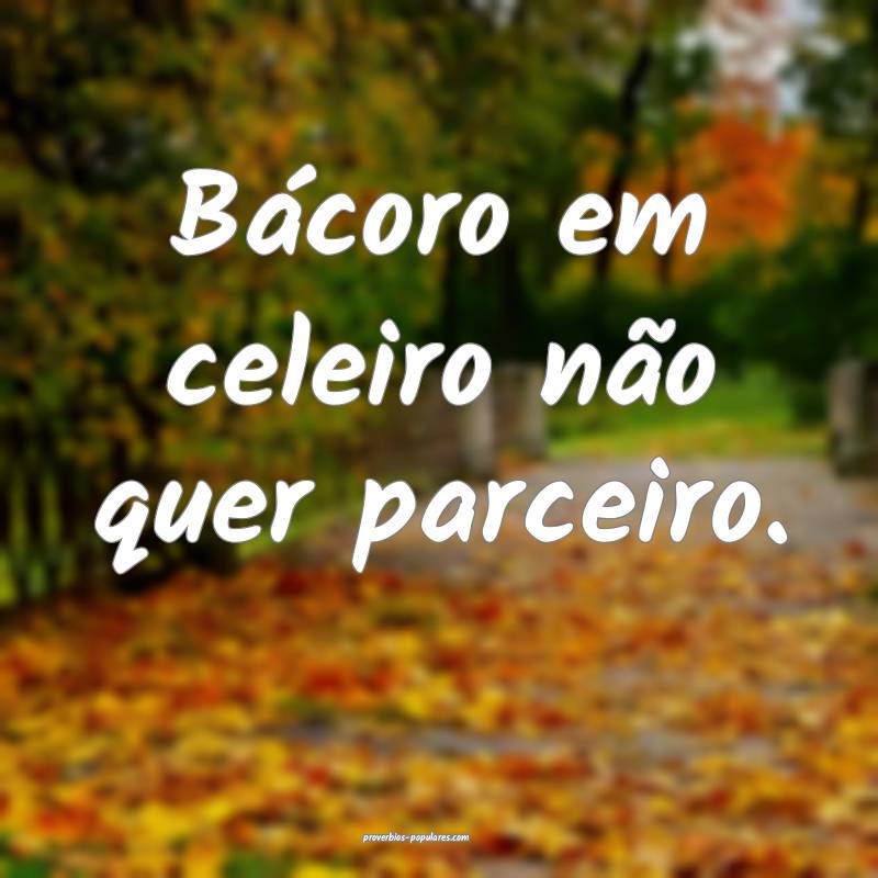 Bácoro em celeiro não quer parceiro.
...