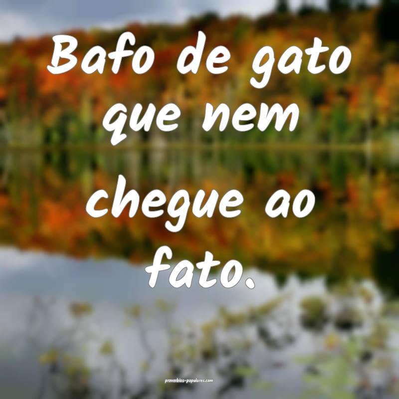 Bafo de gato que nem chegue ao fato.
 ...
