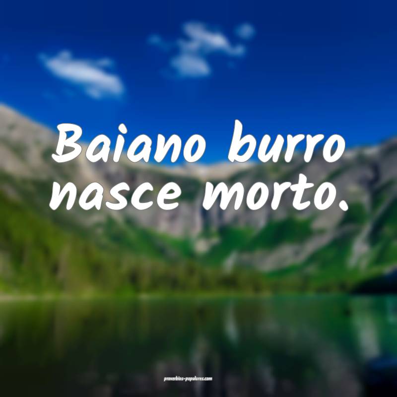 Baiano burro nasce morto.
...