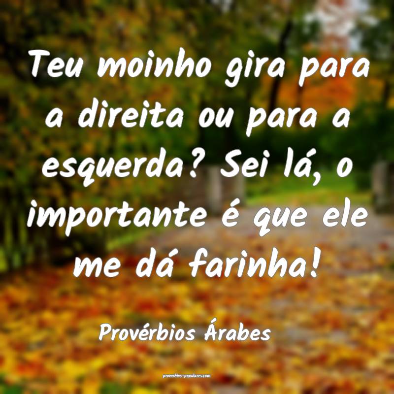 Teu moinho gira para a direita ou para a esquerda? Sei lá, o importan...