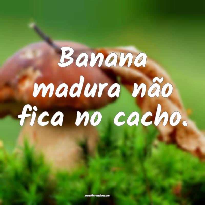 Banana madura não fica no cacho.
...