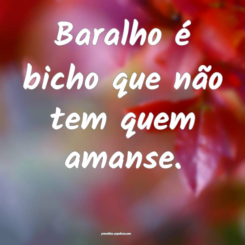 Baralho é bicho que não tem quem amanse.
...