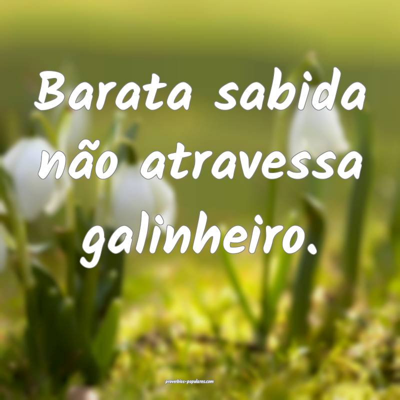 Barata sabida não atravessa galinheiro.
...