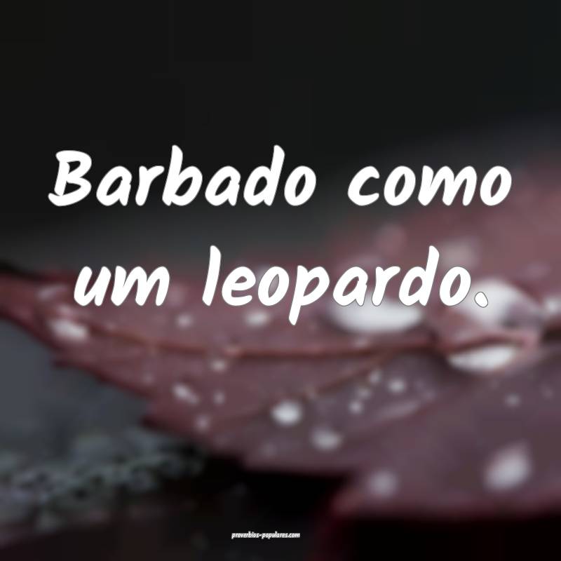 Barbado como um leopardo.
...