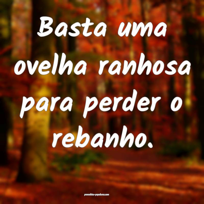 Basta uma ovelha ranhosa para perder o rebanho.
...