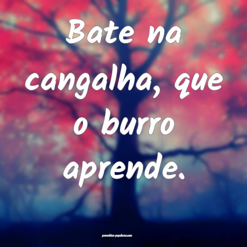 Bate na cangalha, que o burro aprende.
...