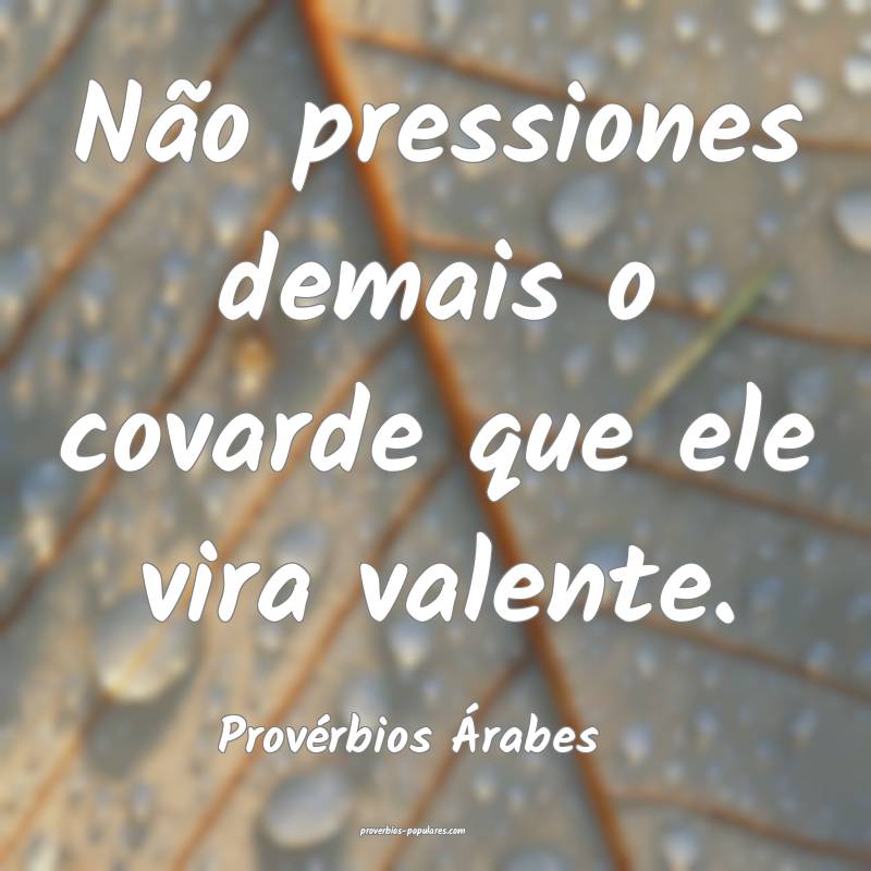 Provérbios Árabes - Não pressiones demais o cov ...