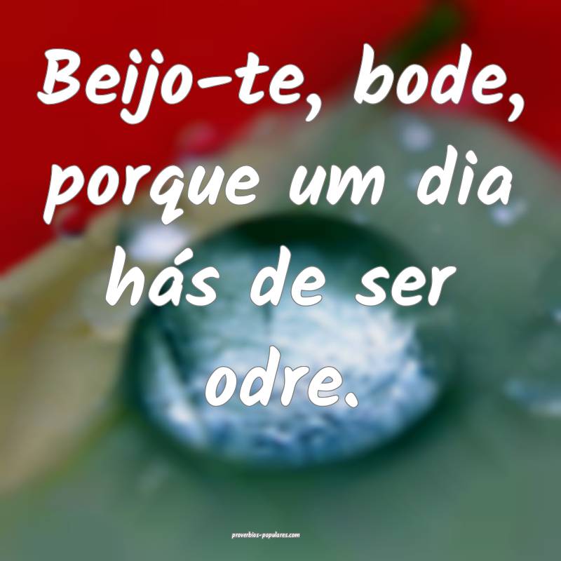 Beijo-te, bode, porque um dia hás de ser odre.
...