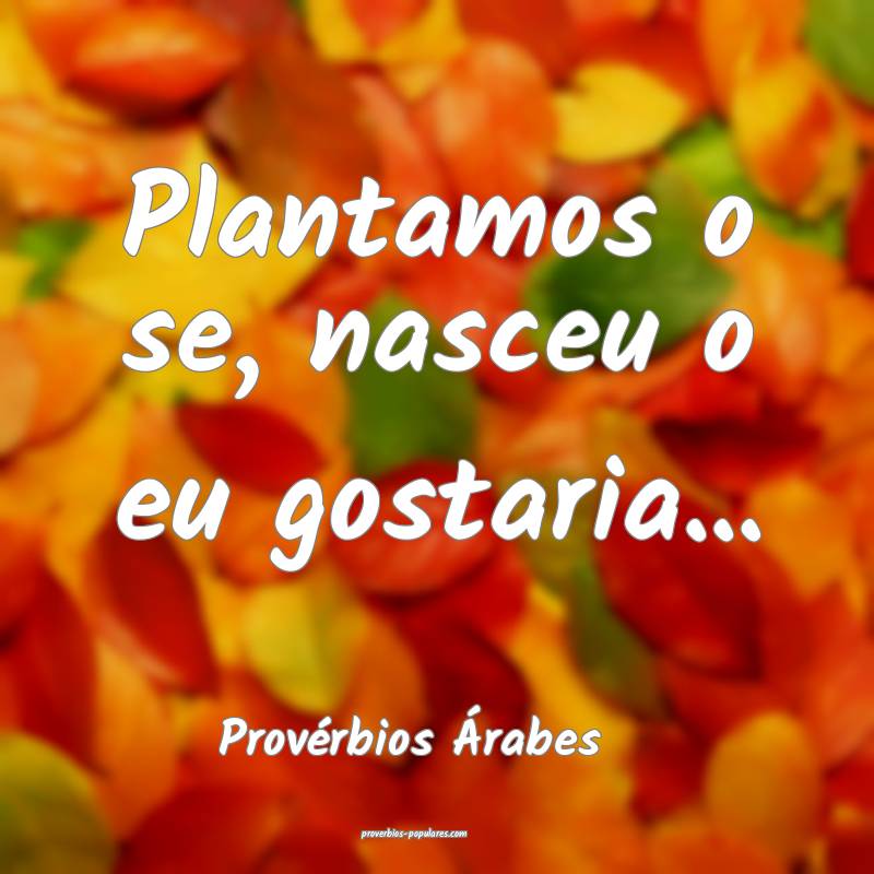 Provérbios Árabes - Plantamos o se, nasceu o eu  ...