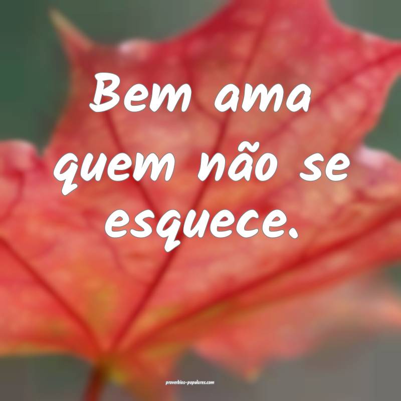 Bem ama quem não se esquece.
...
