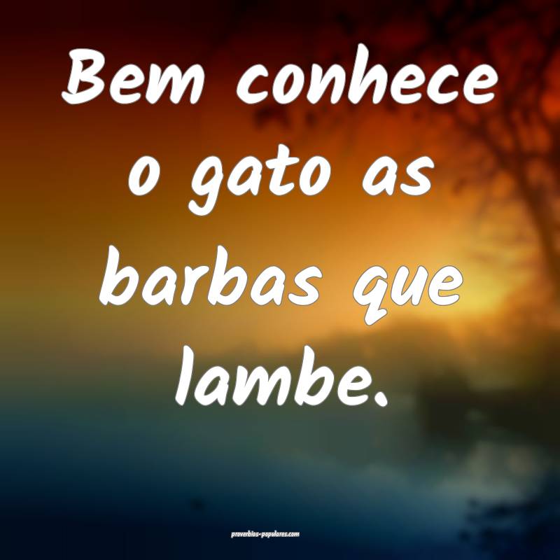 Bem conhece o gato as barbas que lambe.
...