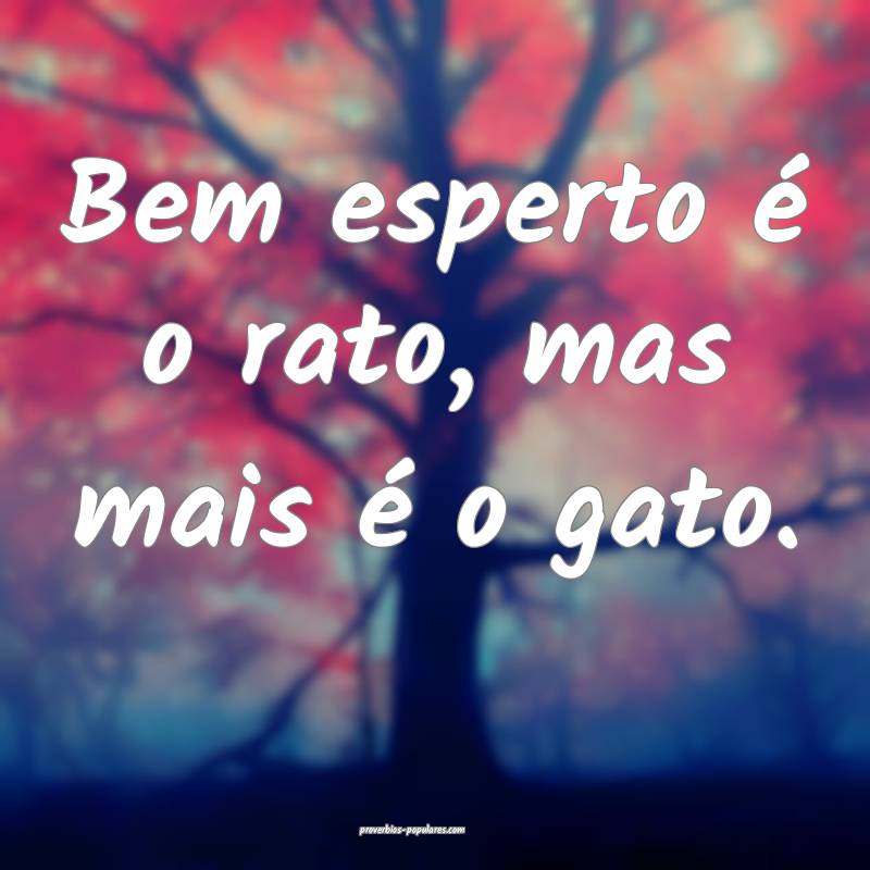 Bem esperto é o rato, mas mais é o gato.
...