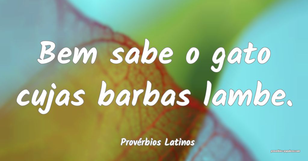 Provérbios Latinos - Bem sabe o gato cujas barbas ...