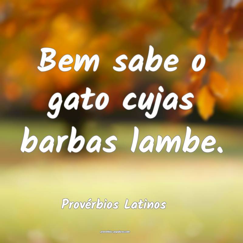Bem sabe o gato cujas barbas lambe.
...