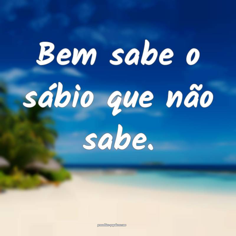 Bem sabe o sábio que não sabe.
 ...