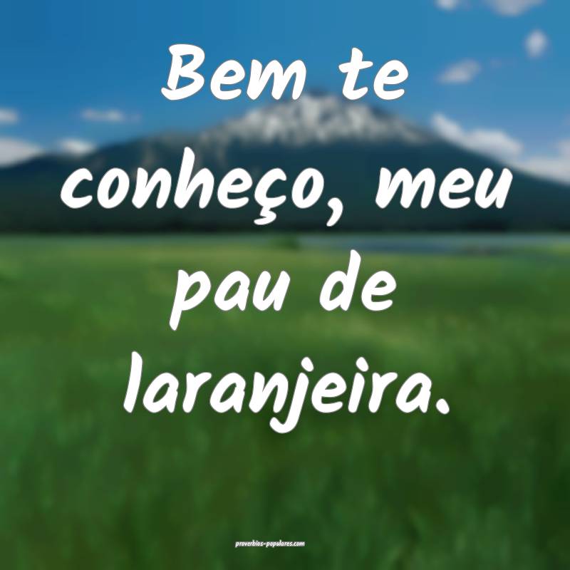 Bem te conheço, meu pau de laranjeira.
...