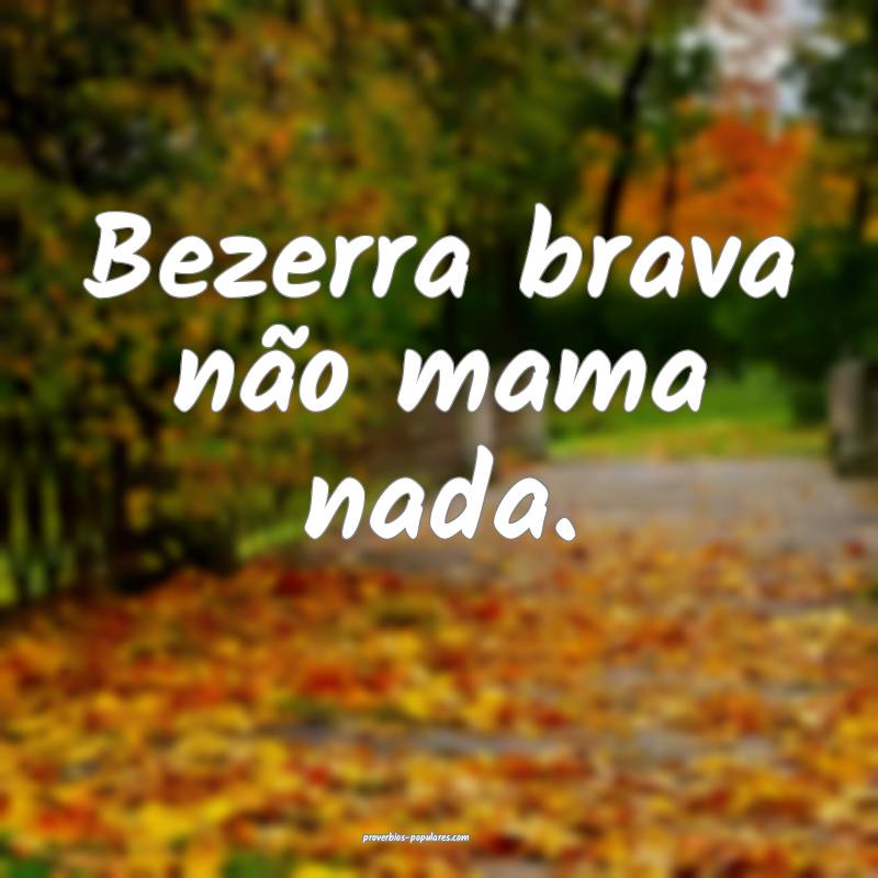 Bezerra brava não mama nada.
...
