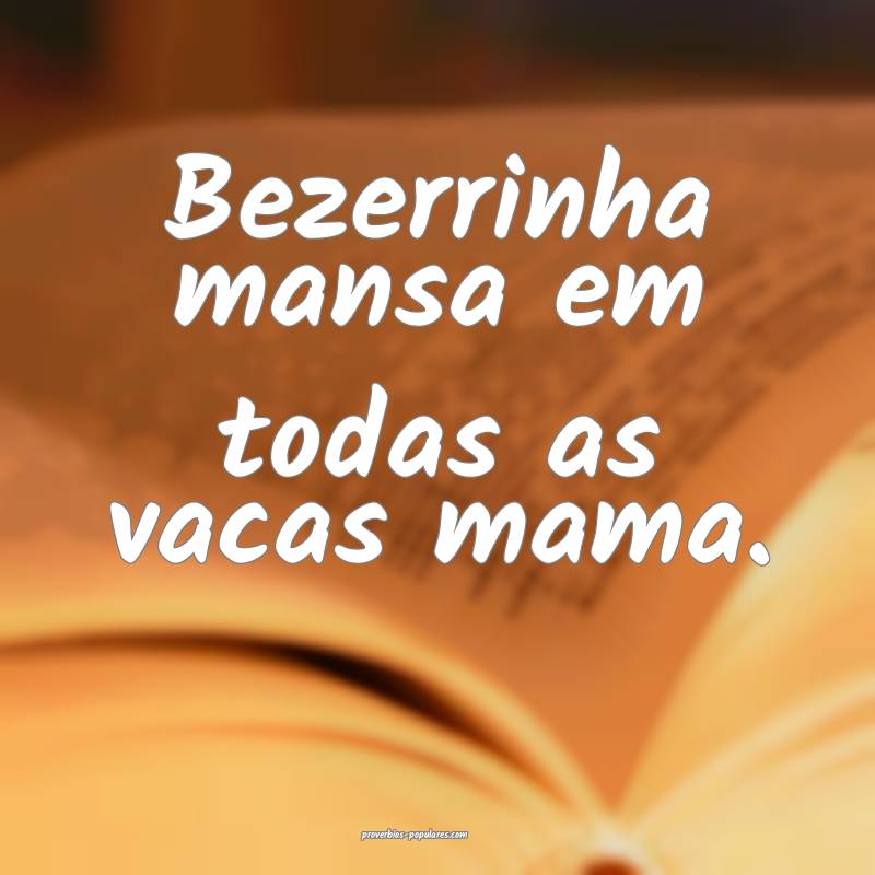 Bezerrinha mansa em todas as vacas mama.
...