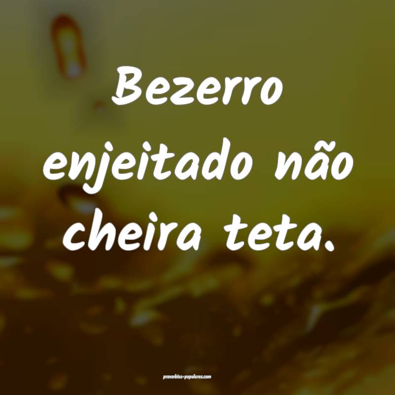 Bezerro enjeitado não cheira teta.
...