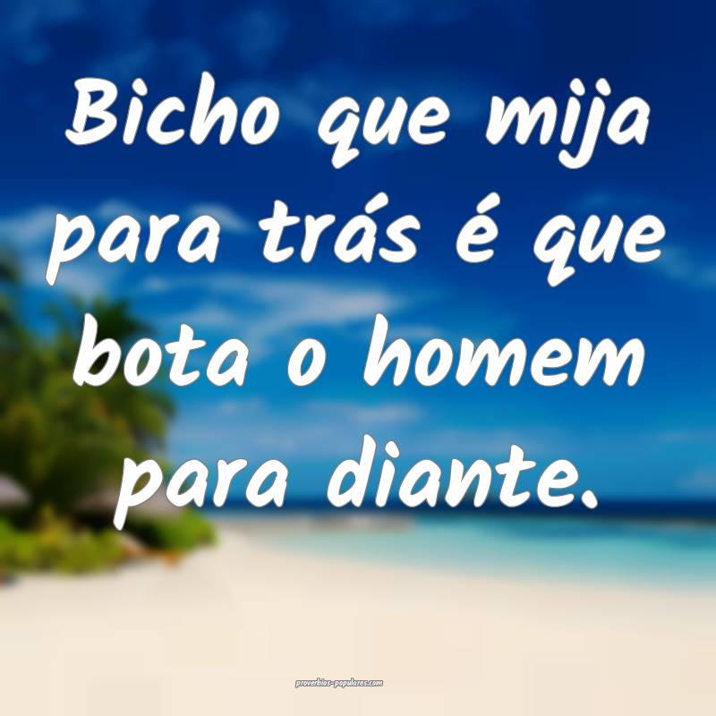Bicho que mija para trás é que bota o homem para diante.
...