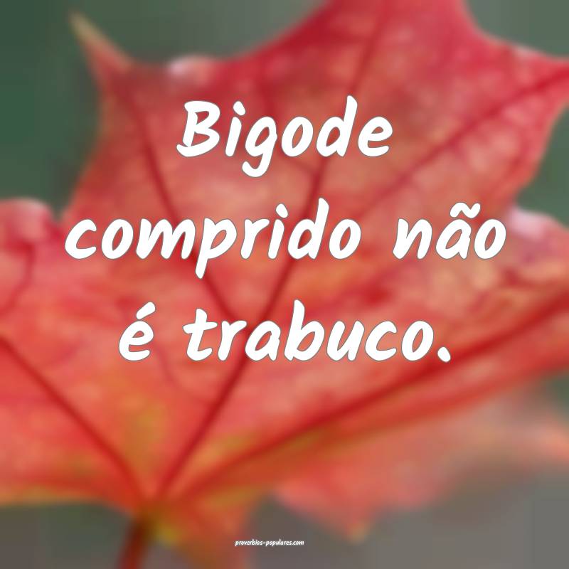 Bigode comprido não é trabuco.
...