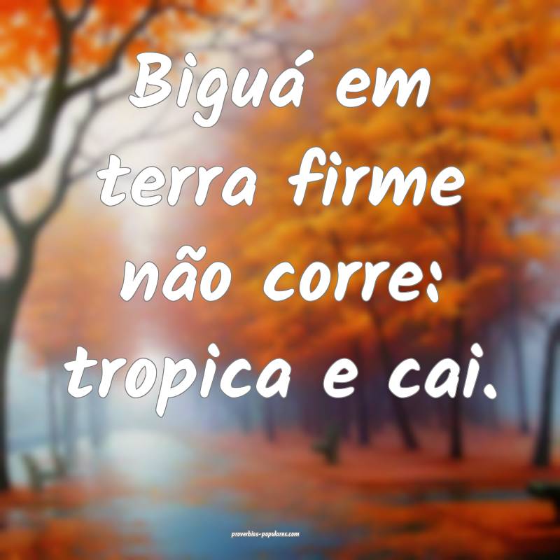 Biguá em terra firme não corre: tropica e cai.
...