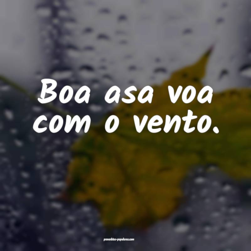 Boa asa voa com o vento.
...