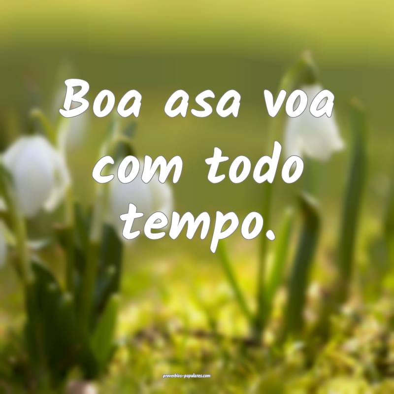 Boa asa voa com todo tempo.
...