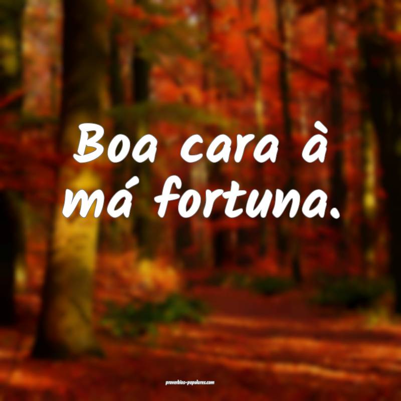 Boa cara à má fortuna.
 ...
