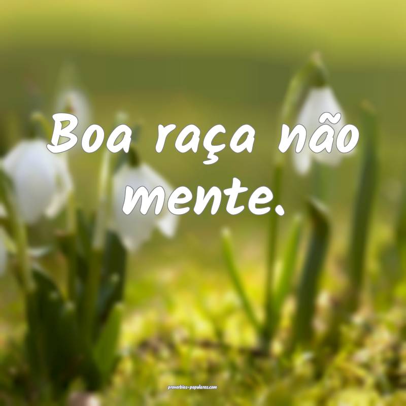 Boa raça não mente.
 ...