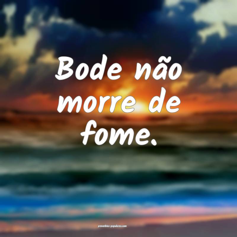 Bode não morre de fome.
...
