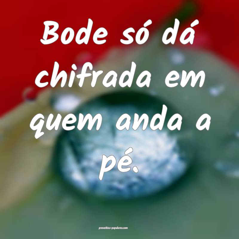 Bode só dá chifrada em quem anda a pé.
...