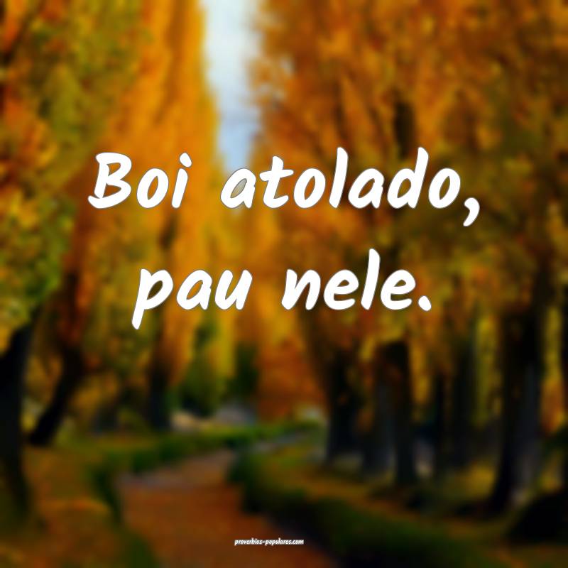 Boi atolado, pau nele.
...